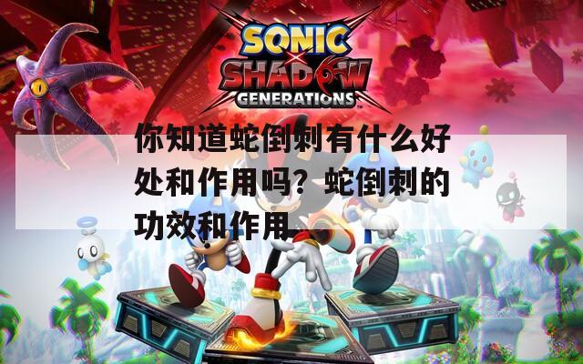 你知道蛇倒刺有什么好处和作用吗？蛇倒刺的功效和作用