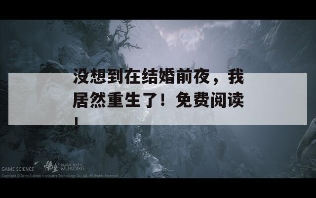 没想到在结婚前夜，我居然重生了！免费阅读！