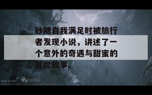 砂糖自我满足时被旅行者发现小说，讲述了一个意外的奇遇与甜蜜的冒险故事。