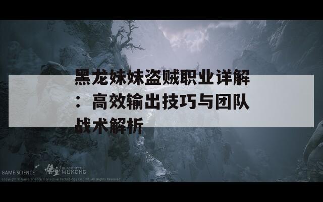 黑龙妹妹盗贼职业详解：高效输出技巧与团队战术解析