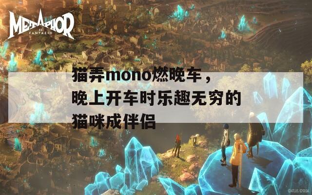 猫弄mono燃晚车，晚上开车时乐趣无穷的猫咪成伴侣
