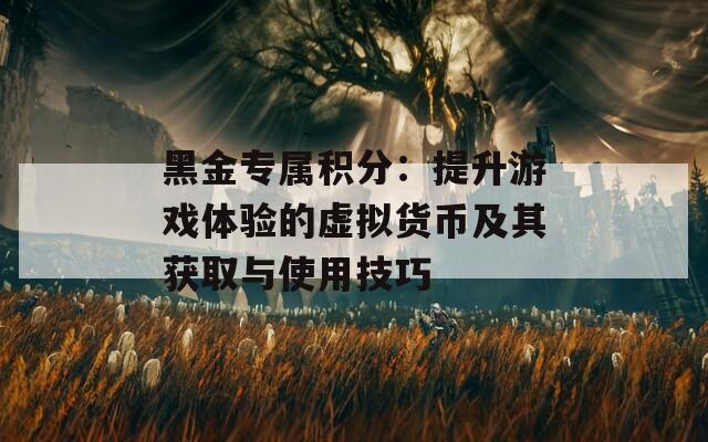 黑金专属积分：提升游戏体验的虚拟货币及其获取与使用技巧