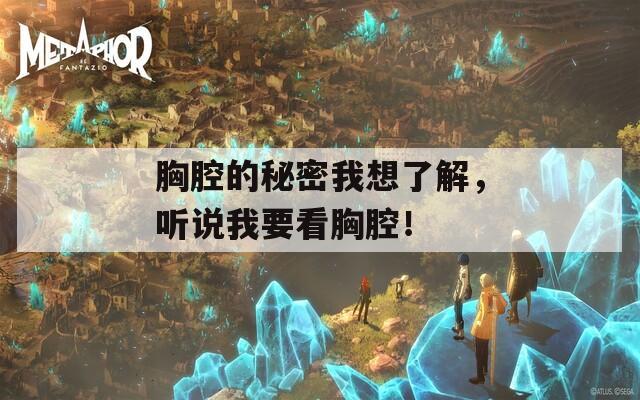 胸腔的秘密我想了解，听说我要看胸腔！