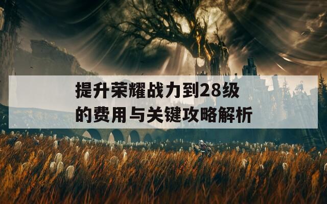 提升荣耀战力到28级的费用与关键攻略解析
