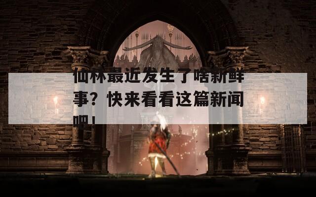仙林最近发生了啥新鲜事？快来看看这篇新闻吧！