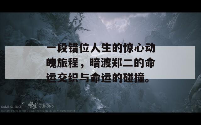 一段错位人生的惊心动魄旅程，暗渡郑二的命运交织与命运的碰撞。