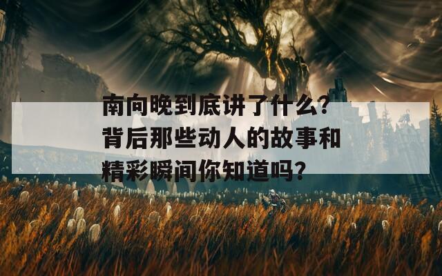 南向晚到底讲了什么？背后那些动人的故事和精彩瞬间你知道吗？