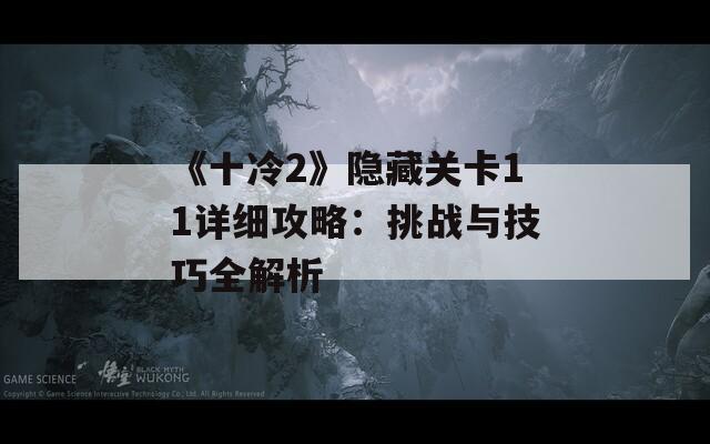 《十冷2》隐藏关卡11详细攻略：挑战与技巧全解析