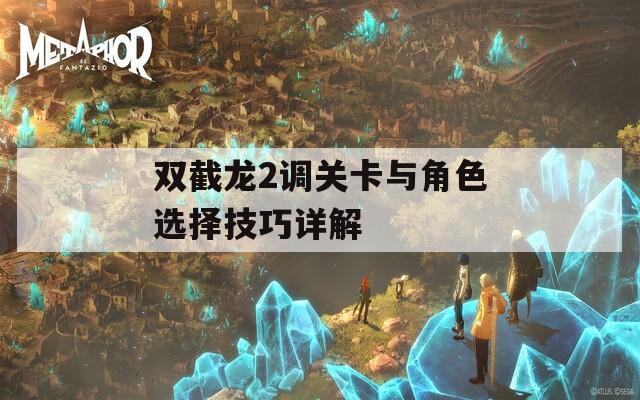 双截龙2调关卡与角色选择技巧详解