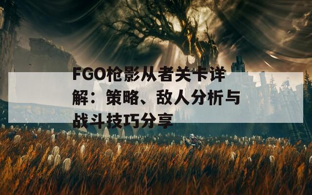 FGO枪影从者关卡详解：策略、敌人分析与战斗技巧分享