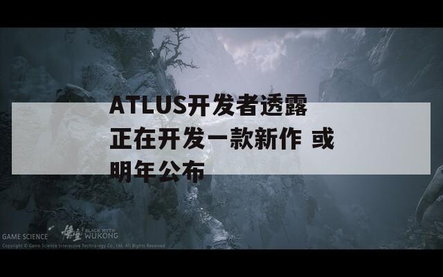 ATLUS开发者透露正在开发一款新作 或明年公布
