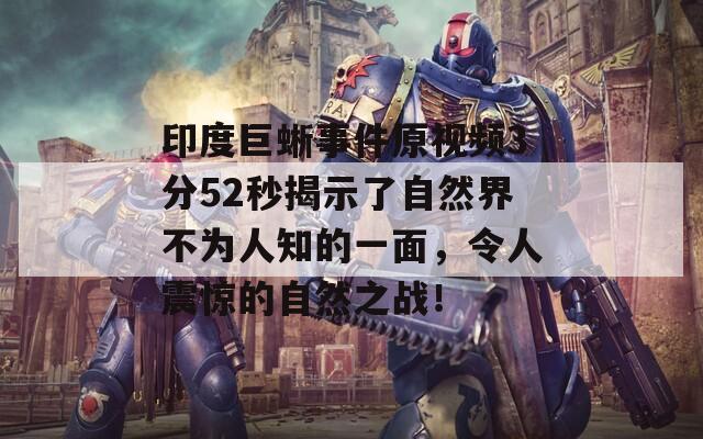 印度巨蜥事件原视频3分52秒揭示了自然界不为人知的一面，令人震惊的自然之战！