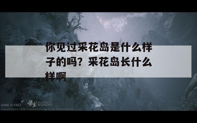 你见过采花岛是什么样子的吗？采花岛长什么样啊
