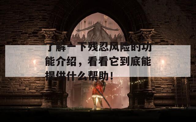 了解一下残忍风险的功能介绍，看看它到底能提供什么帮助！