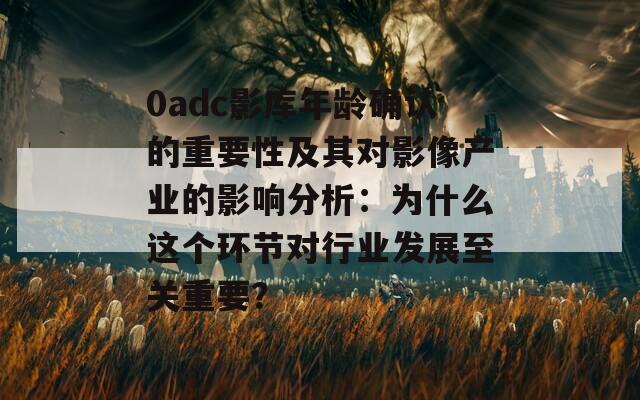 0adc影库年龄确认的重要性及其对影像产业的影响分析：为什么这个环节对行业发展至关重要？