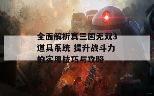 全面解析真三国无双3道具系统 提升战斗力的实用技巧与攻略