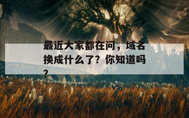 最近大家都在问，域名换成什么了？你知道吗？