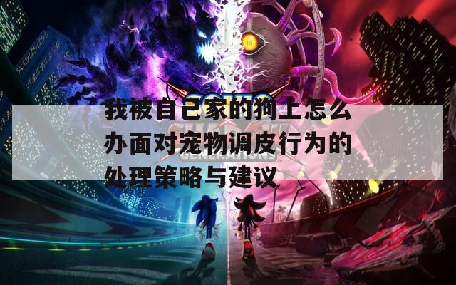 我被自己家的狗上怎么办面对宠物调皮行为的处理策略与建议