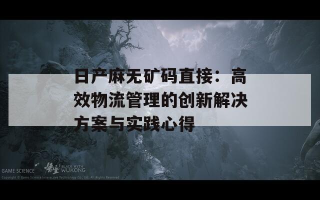 日产麻无矿码直接：高效物流管理的创新解决方案与实践心得