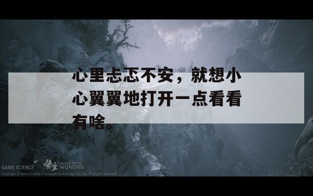 心里忐忑不安，就想小心翼翼地打开一点看看有啥。