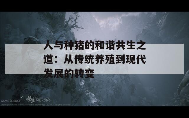 人与种猪的和谐共生之道：从传统养殖到现代发展的转变