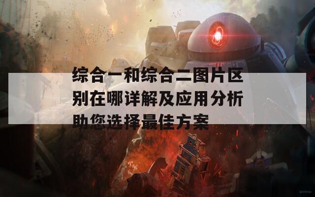 综合一和综合二图片区别在哪详解及应用分析助您选择最佳方案