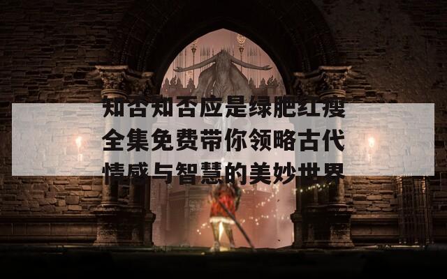 知否知否应是绿肥红瘦全集免费带你领略古代情感与智慧的美妙世界