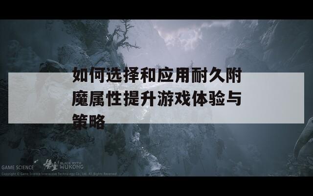 如何选择和应用耐久附魔属性提升游戏体验与策略