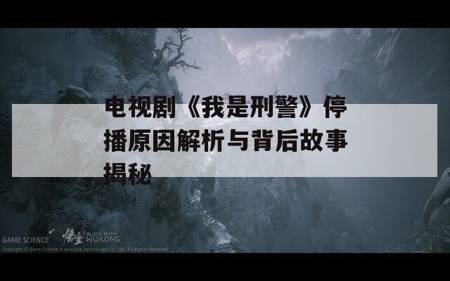 电视剧《我是刑警》停播原因解析与背后故事揭秘