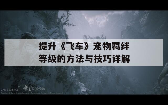 提升《飞车》宠物羁绊等级的方法与技巧详解