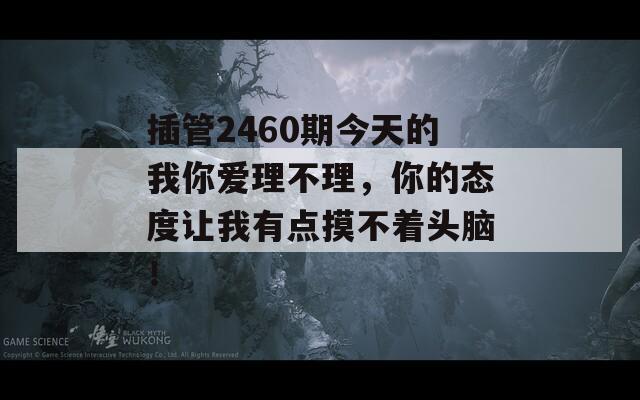 插管2460期今天的我你爱理不理，你的态度让我有点摸不着头脑！