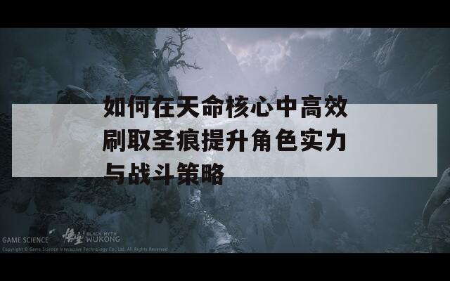 如何在天命核心中高效刷取圣痕提升角色实力与战斗策略