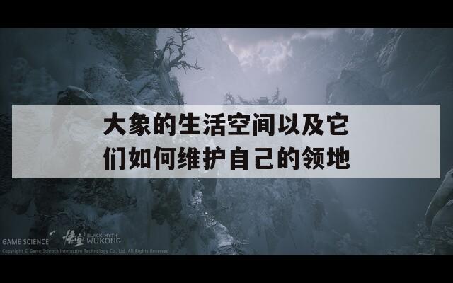 大象的生活空间以及它们如何维护自己的领地