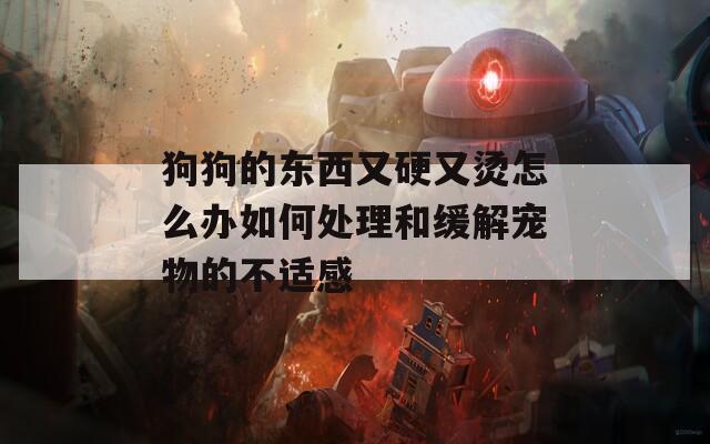 狗狗的东西又硬又烫怎么办如何处理和缓解宠物的不适感