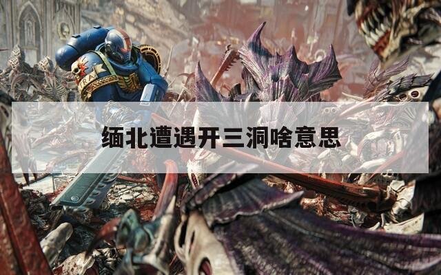 缅北遭遇开三洞啥意思