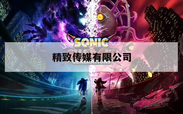 精致传媒有限公司