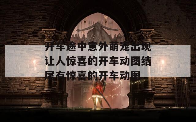 开车途中意外萌宠出现让人惊喜的开车动图结尾有惊喜的开车动图