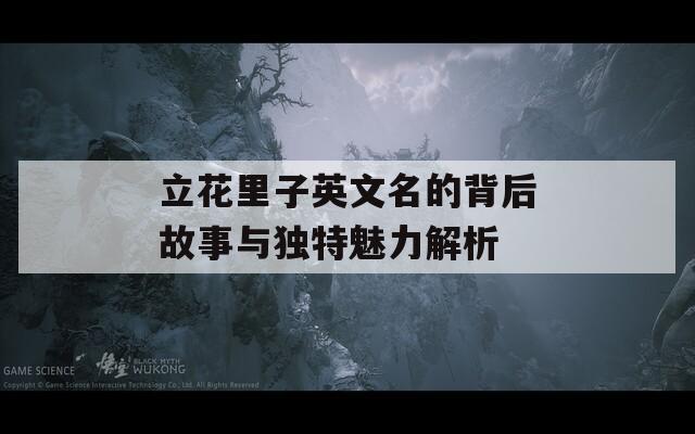 立花里子英文名的背后故事与独特魅力解析