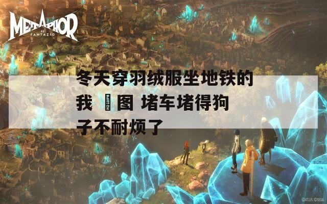 冬天穿羽绒服坐地铁的我 囧图 堵车堵得狗子不耐烦了