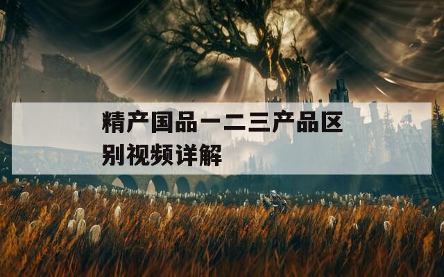 精产国品一二三产品区别视频详解