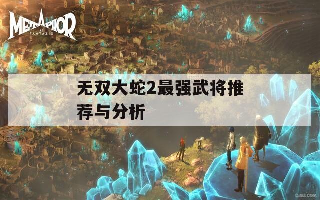 无双大蛇2最强武将推荐与分析