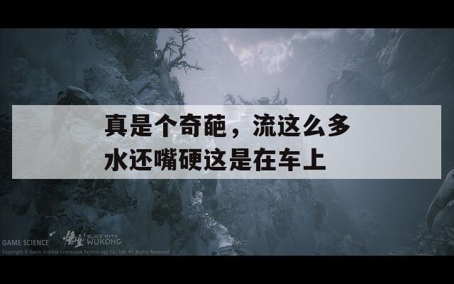 真是个奇葩，流这么多水还嘴硬这是在车上