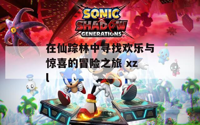 在仙踪林中寻找欢乐与惊喜的冒险之旅 xzl