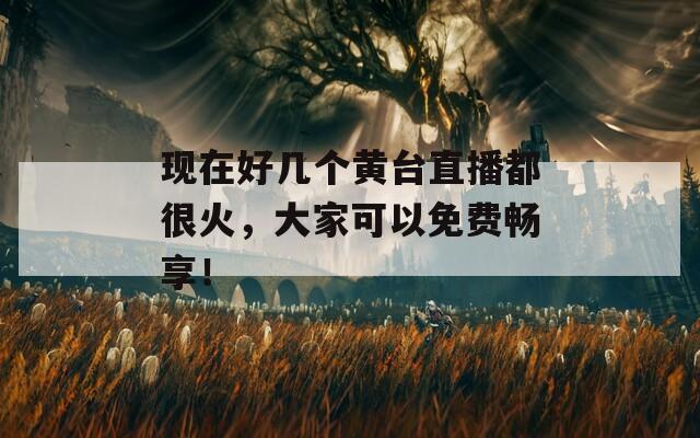 现在好几个黄台直播都很火，大家可以免费畅享！