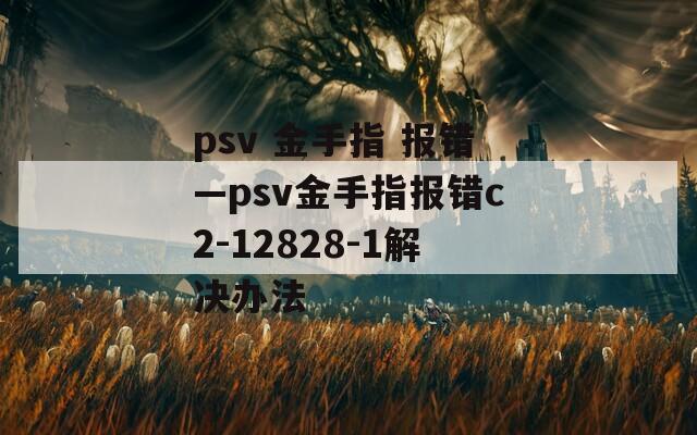 psv 金手指 报错—psv金手指报错c2-12828-1解决办法