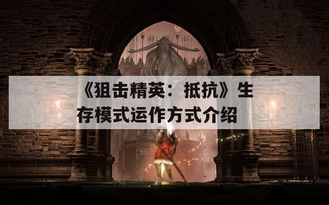 《狙击精英：抵抗》生存模式运作方式介绍