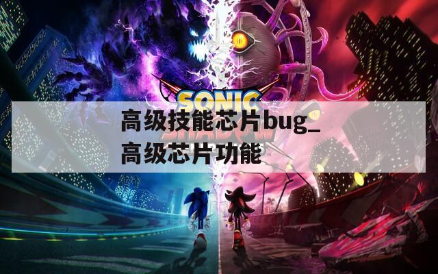 高级技能芯片bug_高级芯片功能