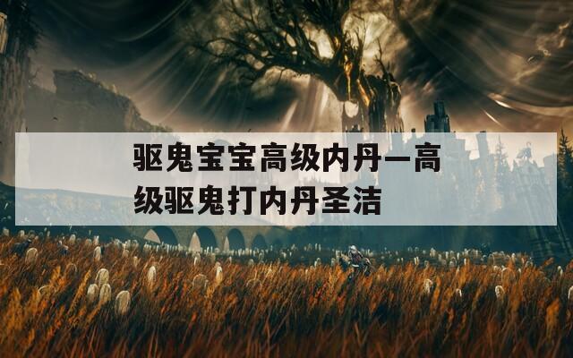 驱鬼宝宝高级内丹—高级驱鬼打内丹圣洁