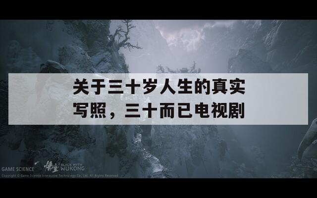 关于三十岁人生的真实写照，三十而已电视剧