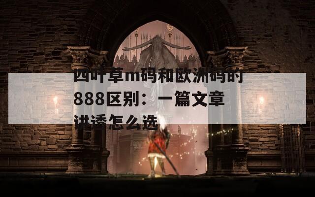 四叶草m码和欧洲码的888区别：一篇文章讲透怎么选
